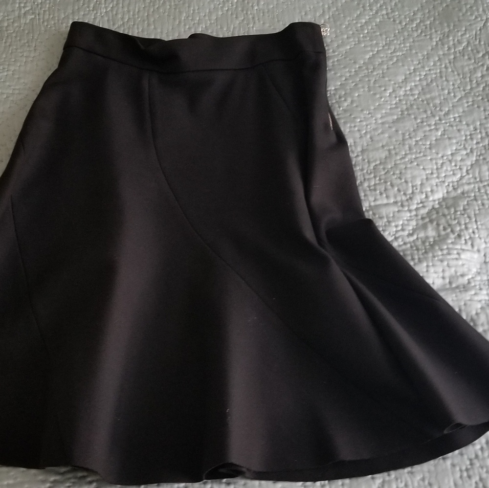 Zara Black Flare Skirt